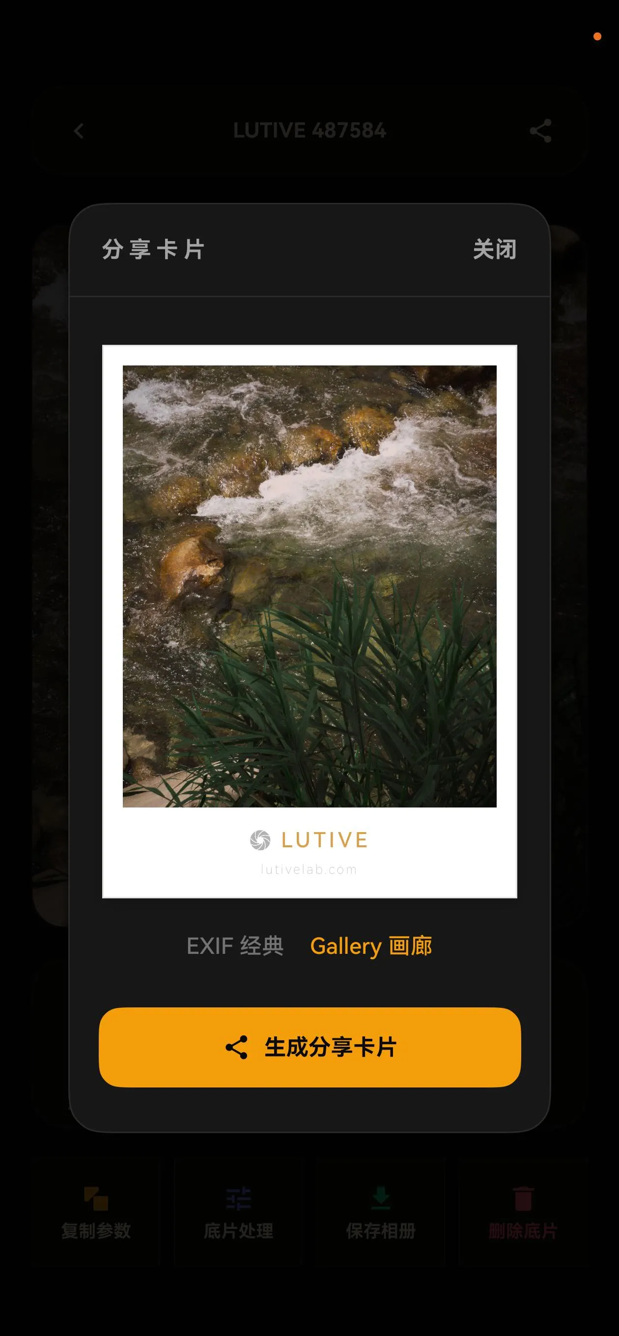 分享画廊卡片